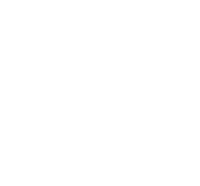 tcdd logo