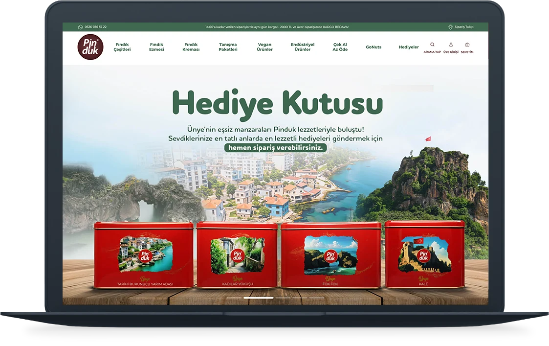 Pinduk website preview